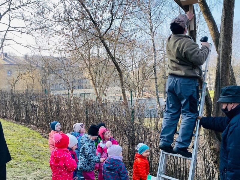 Inkilai sugrįžtantiems paukšteliams