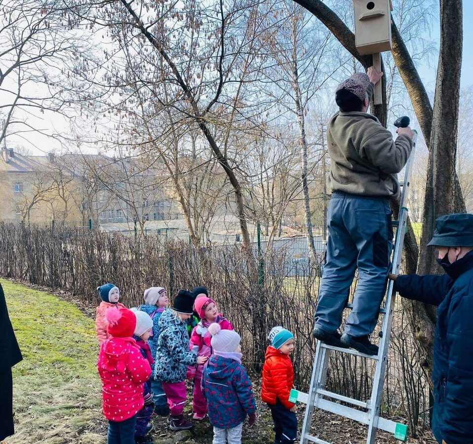 Inkilai sugrįžtantiems paukšteliams